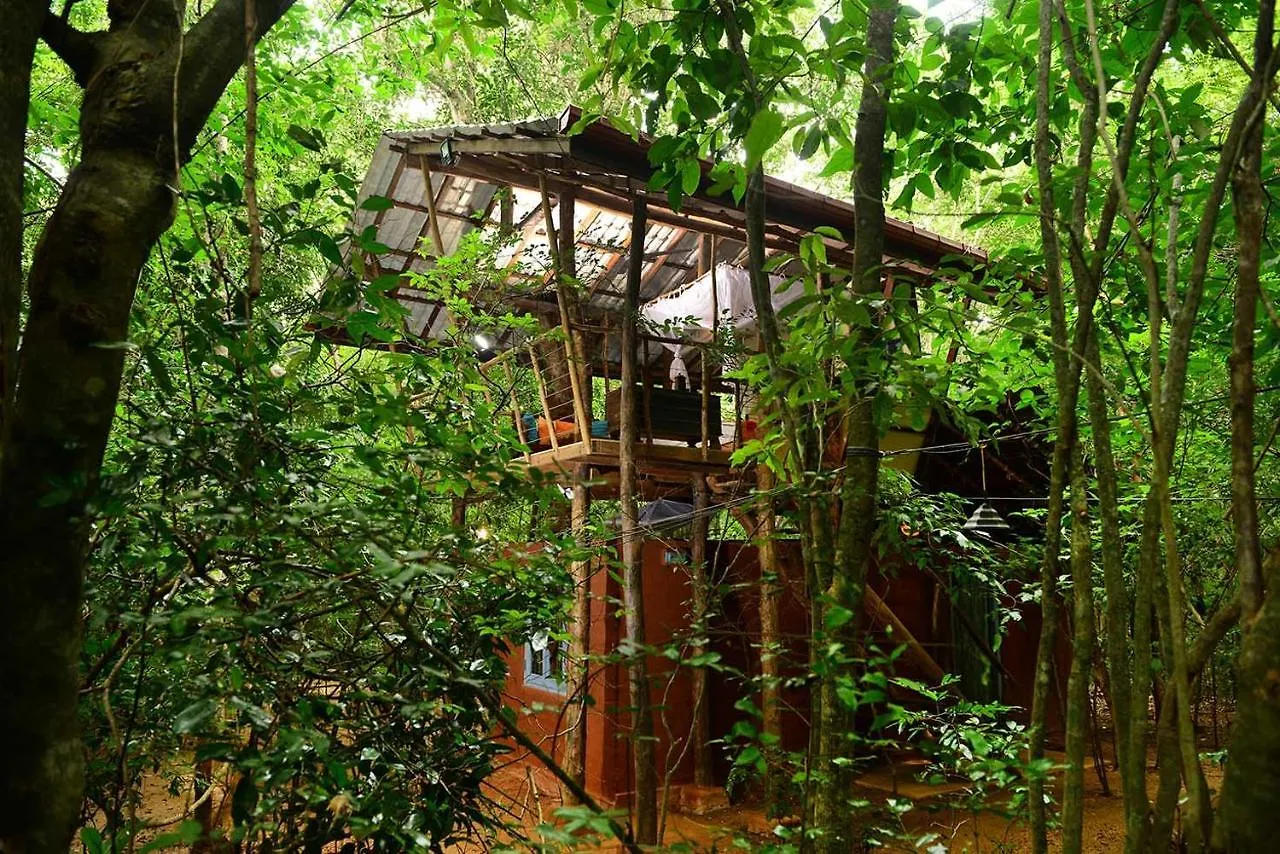 Back Of Beyond - Pidurangala Villa Sigiriya Sri Lanka