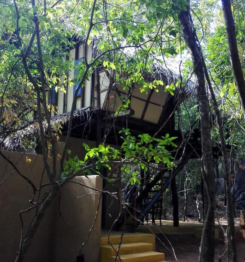 Lodge Back Of Beyond - Pidurangala Villa Sigiriya Sri Lanka
